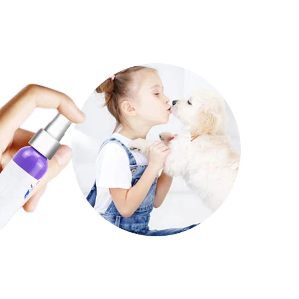 Pet supplies antibacterial dog oral deodorant - Image 5
