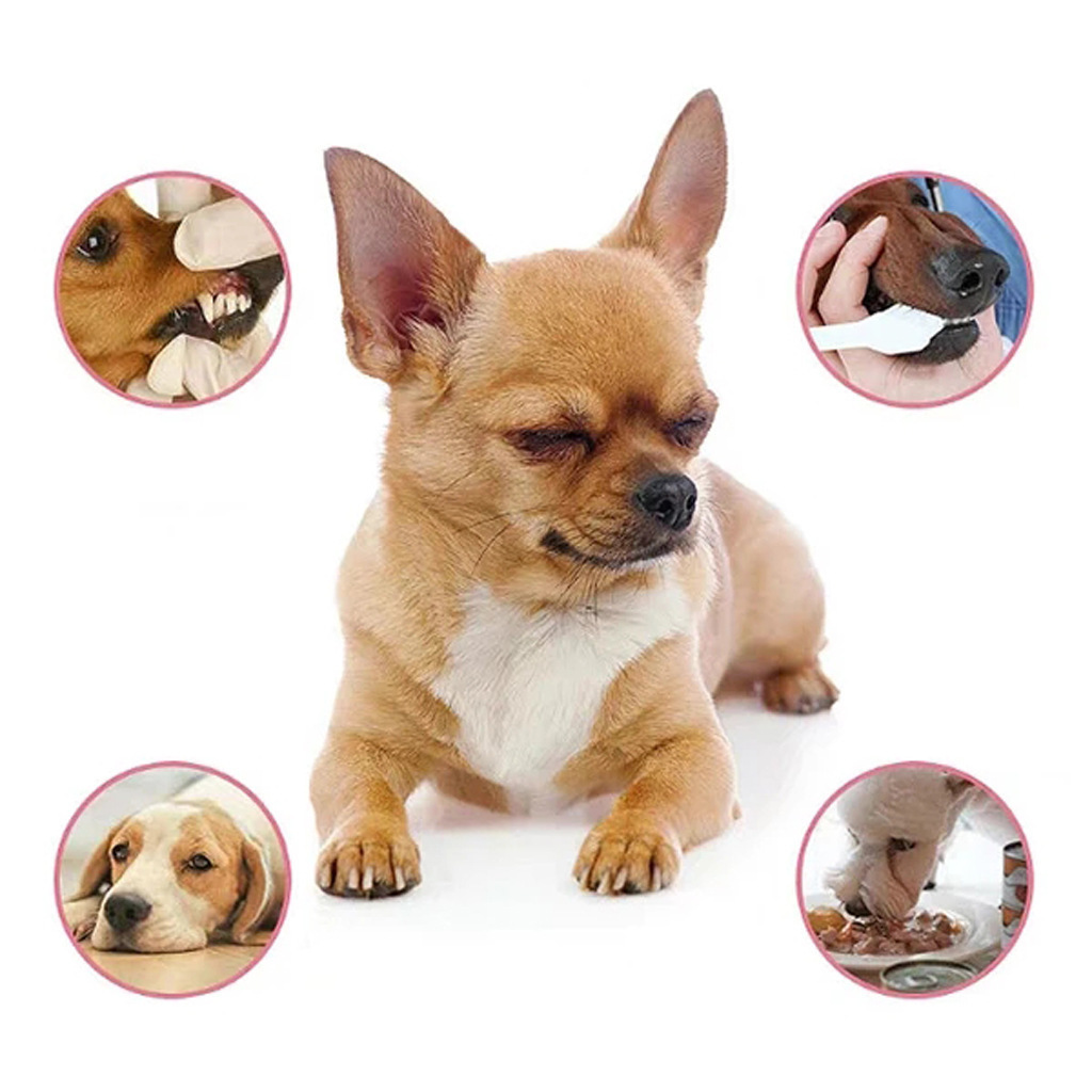 Pet supplies antibacterial dog oral deodorant - Image 3