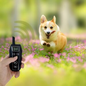 Fashion Pet Supplies Remote Control Dog Trainer
