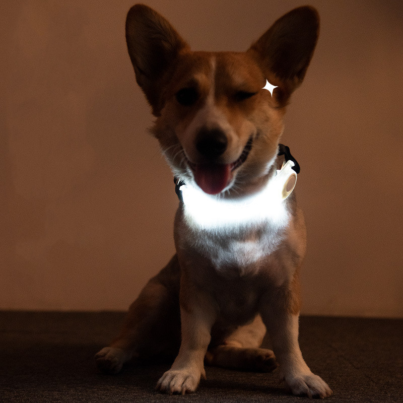 Pet Supplies LED Lead Rope Light Collar - Image 3