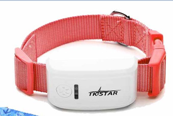 Cat GPS Tracker Locator Device for Pets - Image 2